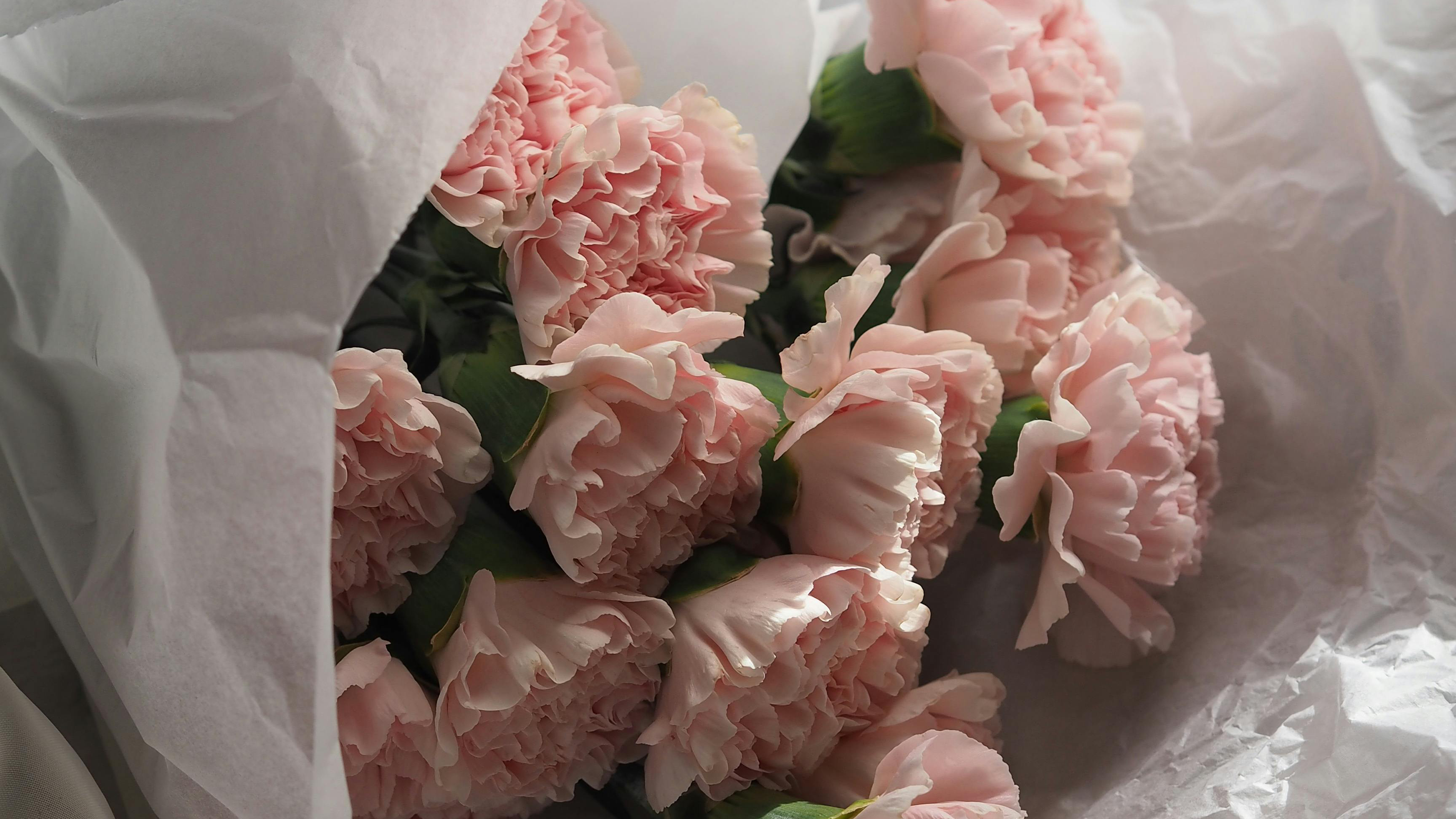 Last-Minute Mother’s Day Gift Guide